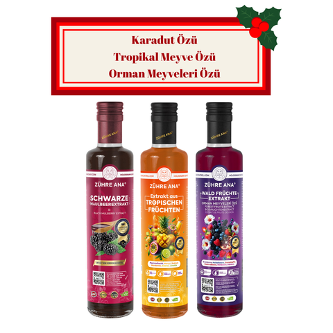 Meyve Özü Seti (Karadut Özü, Orman Meyveleri  Özü ve Tropikal Meyve Özü)
