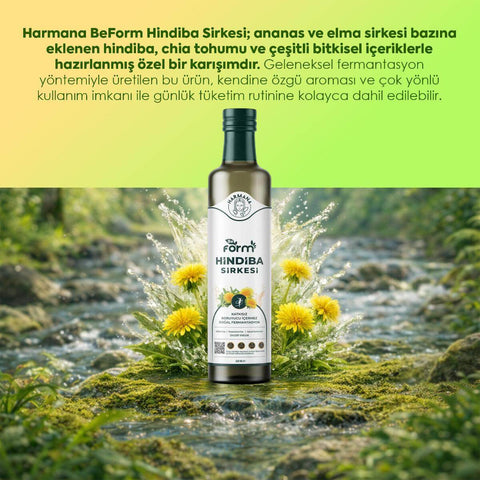 hindiba sirkesi_3