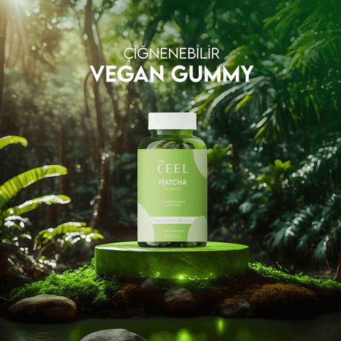 Vita Ceel Matcha Gummies in a lush green jungle setting for energy and metabolism support.