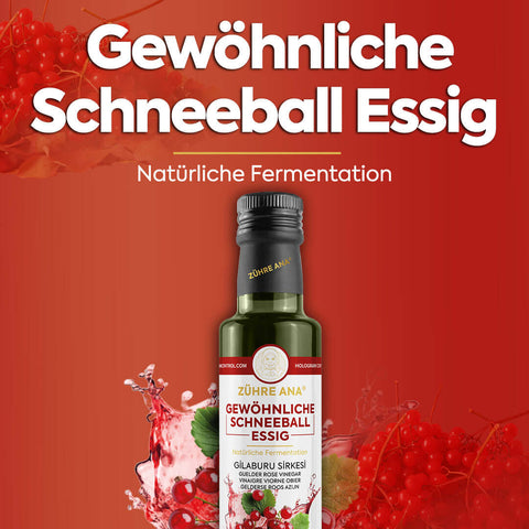 Zühre Ana Gilaburu Sirkesi Doğal Fermantasyon - Gewöhnliche Schneeball Essig, natürliche Fermentation in einer Flasche.