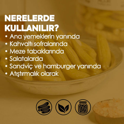 Antep Acur Turşusu (Ev Yapımı) 1kg görsel 5