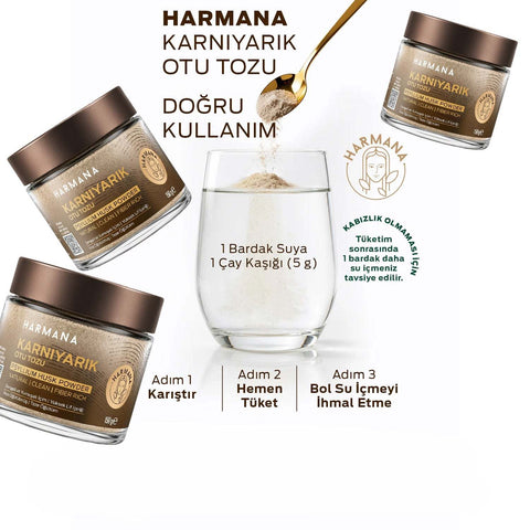 Karnıyarık Otu Tozu Psyllium Husk - görsel 4